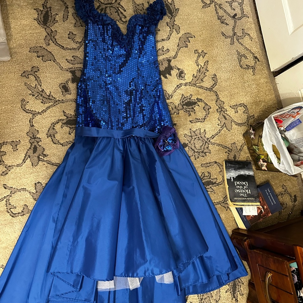 Stunning Blue Sequin Gown